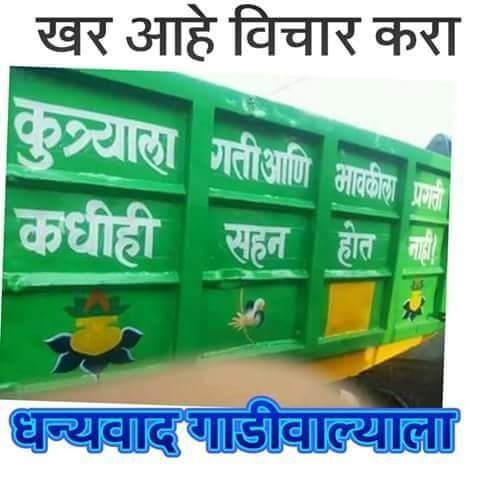 १७. कुत्रा ते भावकी.. काय रेंज आहे राव!!