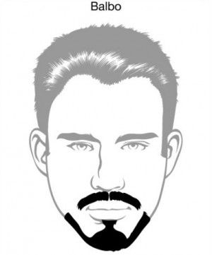 १. बल्बो