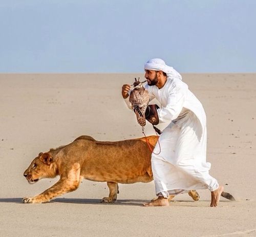 २. पाळीव प्राण्यांसोबतचे क्षण
