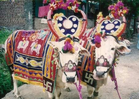 बैलपोळा : काळाच्या ओघात हरवत जाणारा उत्सव