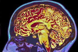 ४) मेंदूकडून येणाऱ्या संदेशाचे ग्रहण