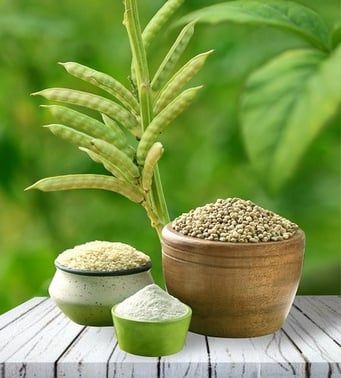 ४. गवारगम