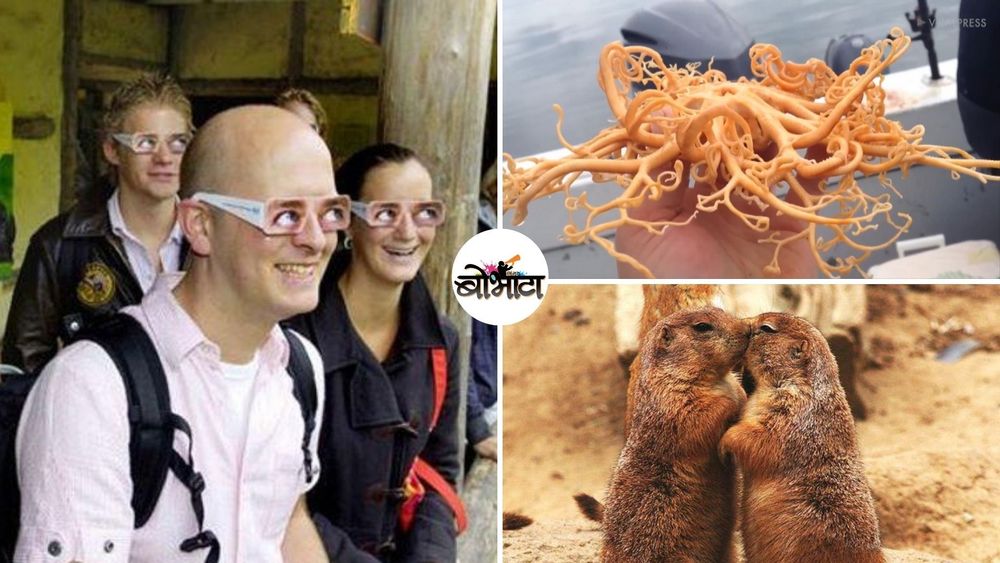 प्राण्यांच्या जगातील आश्चर्यकारक आणि अद्भुत अशा १७ गोष्टी !!