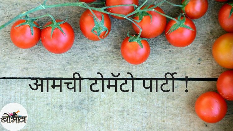 आमची टोमॅटो पार्टी !!!