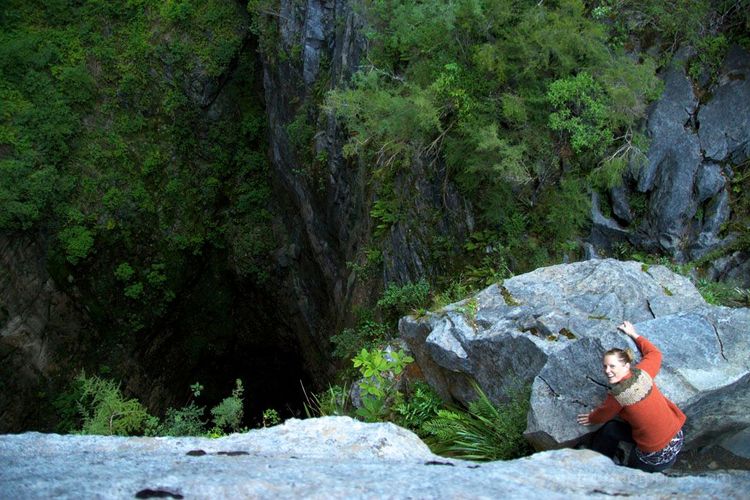 ७. द हारवुड होल