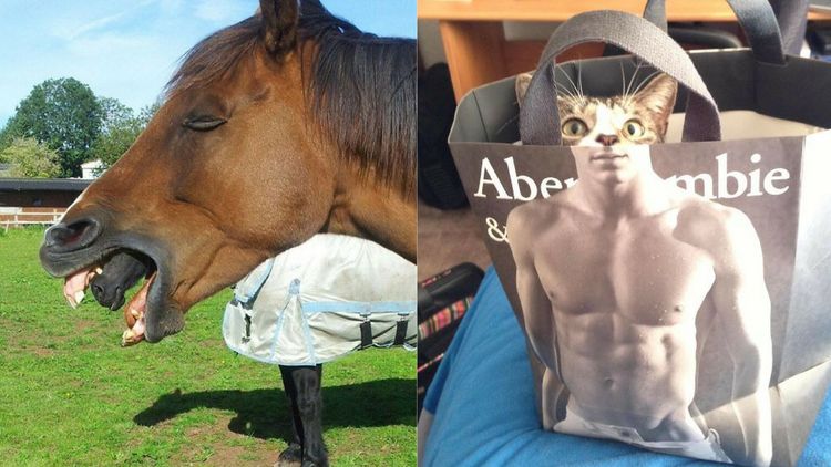 याला म्हणतात परफेक्ट क्लिक...फोटोग्राफी करण्याआधी हे २० फोटो बघून घ्या राव!!