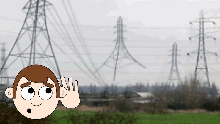 काही लोकांना या GIF मध्ये आवाज ऐकू येतोय...तुम्हाला पण येतोय का ?