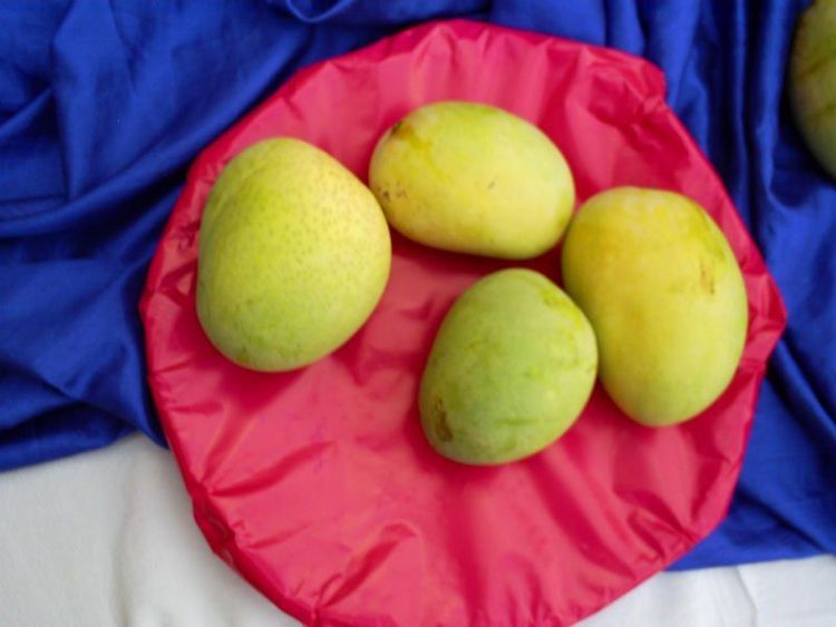 १२. उत्तरप्रदेश