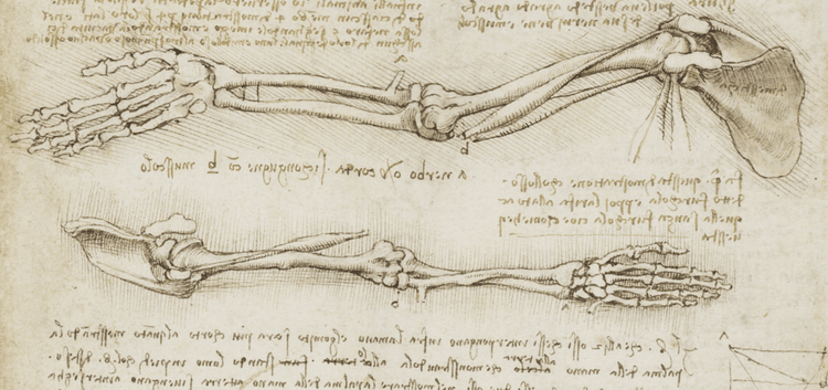 ४. लिओनार्दो यांना एकावेळी एका हाताने लिहिणं आणि दुसऱ्या हातांनी चित्र काढणं दोन्ही गोष्टी यायच्या.