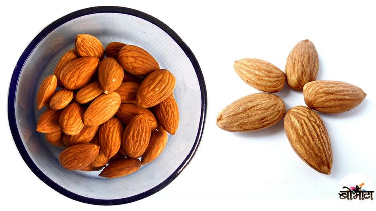 वैद्य अश्विन सावंत सांगत आहेत, 'बदाम आरोग्यासाठी कितपत उपयुक्त आहेत ?'