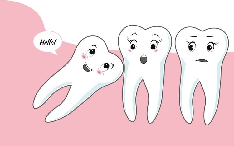 ४. अक्कलदाढ