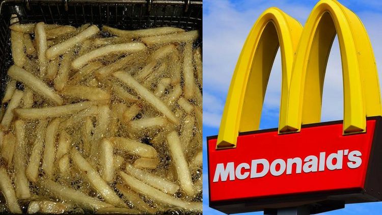 मॅकडॉनल्ड तळलेल्या तेलाचा करतेय एक हटके वापर ! काय आहे त्यांचा इकोफ्रेंडली उपाय ?