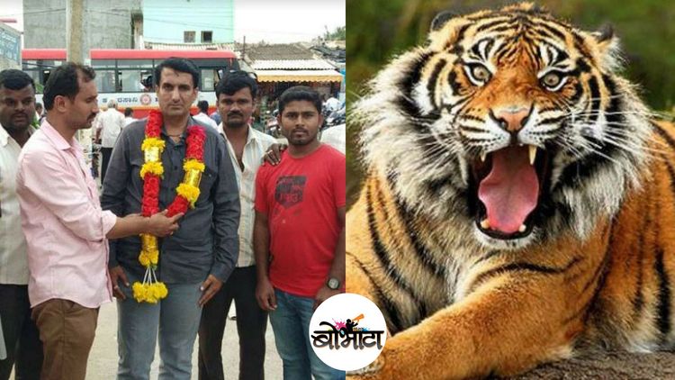 बघताय काय रागानं ? अहो, चक्क वाघ दत्तक घेतलाय या माणसानं !!