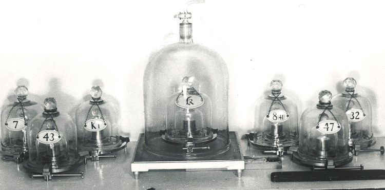 १ किलो वजनाचा पूर्वज - ‘Le Grand K’