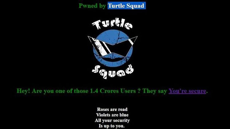 ३. Turtle Squad