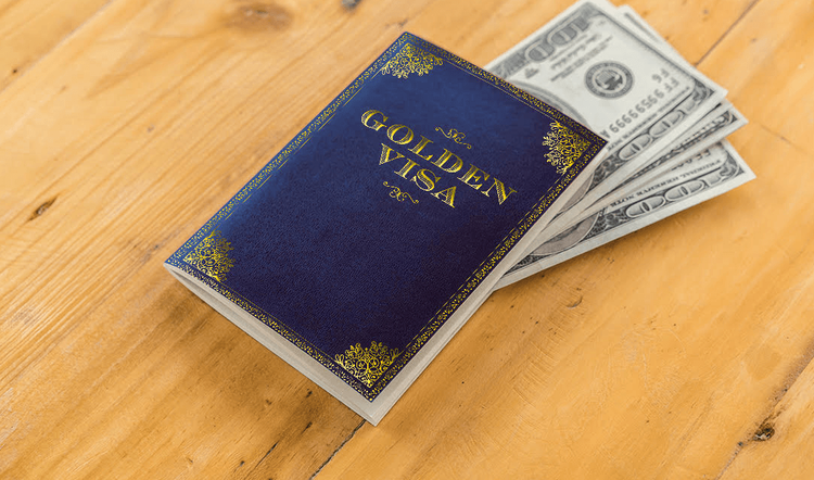 नीरव मोदीला लंडन मध्ये सुरक्षित ठेवणारा 'गोल्डन व्हिसा' आहे तरी काय ?