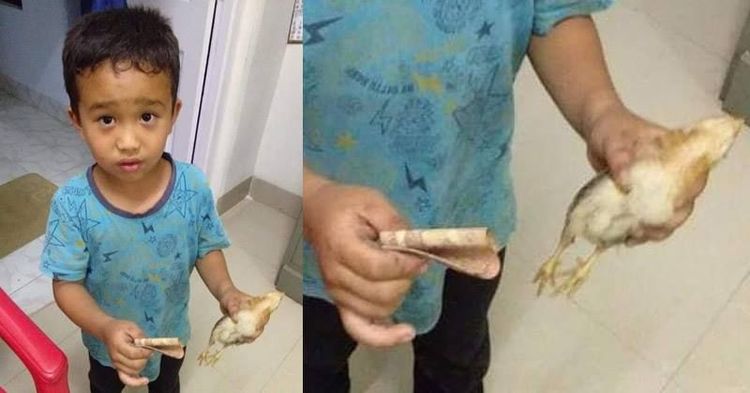 कोंबडीला सायकलीने उडवल्यानंतर त्याने जे केलं ते बघून तुम्ही त्याचं कौतुक कराल !!