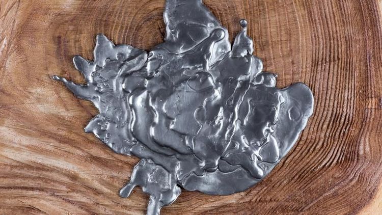 अन्नात शिसे आढळल्यावर घबराट का पसरते ? शिसे आपल्या शरीरासाठी घातक का आहे ??