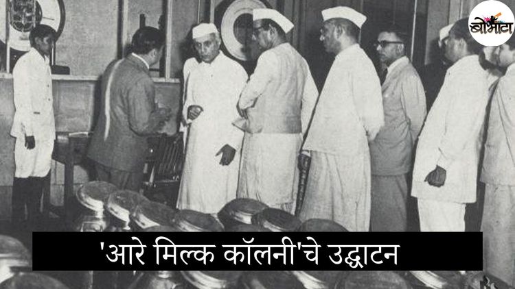 जगातली सर्वात मोठी डेअरी- आरे डेअरीच्या स्थापनेमागची कथा, कुरघोड्या आणि राजकारण!!