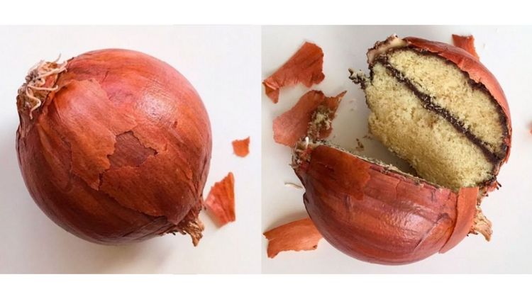 हे केक आहेत यावर तुमचा नक्कीच विश्वास बसणार नाही !!