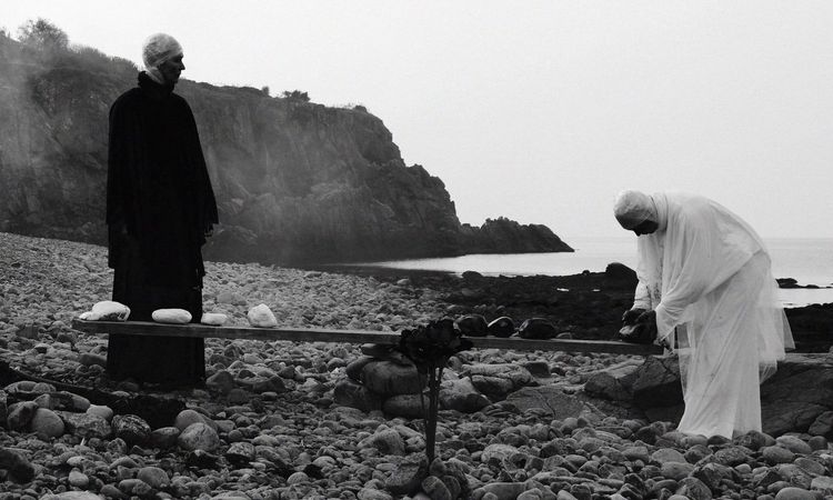 अॅम्बियंस नष्ट का करणार आहेत ?