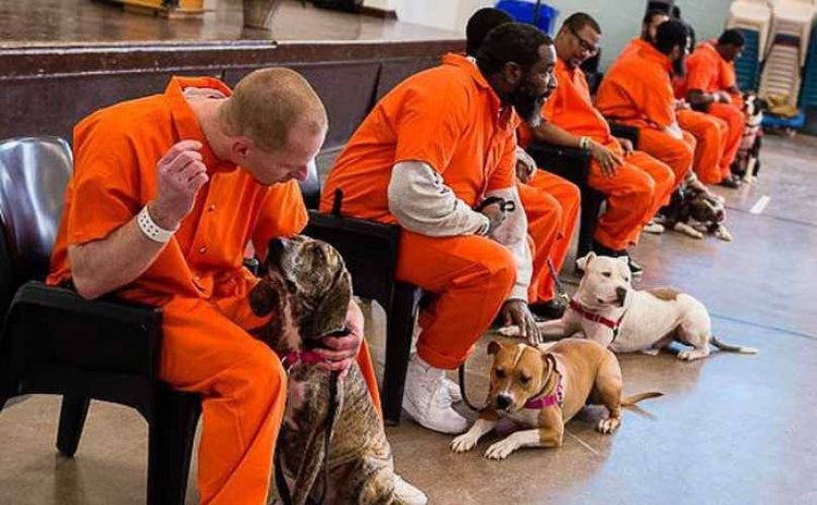 तुरुंगातील सुधारणा.