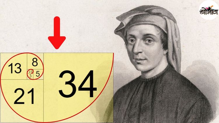 आकाशगंगा, चक्रीवादळ, पानं, शंखांमध्ये दिसणारी रुक्ष गणिताची फिबोनाची गंमत तर पाहा!