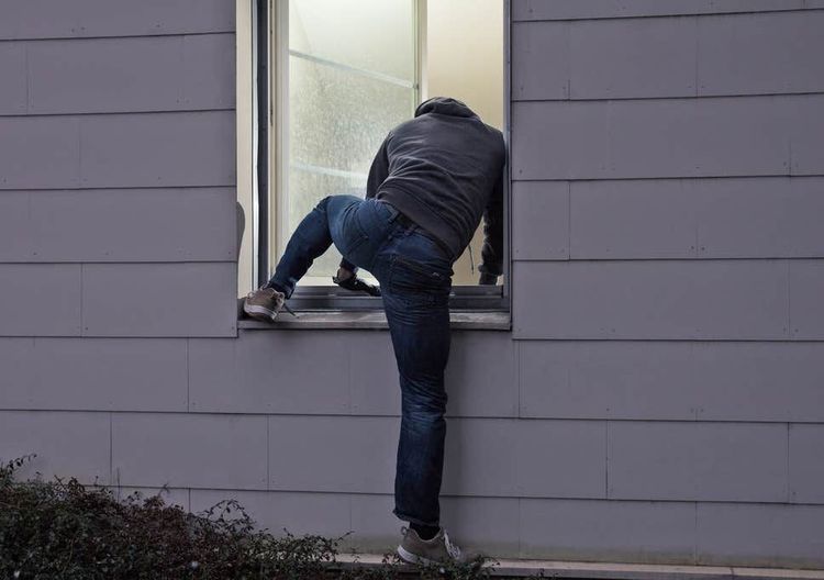 एक लक्षात घ्या, हे चोर परदेशातले आहेत त्यामुळे त्यांच्या सगळ्याच टिप्स आपल्याला लागू  पडतील असं नाही.