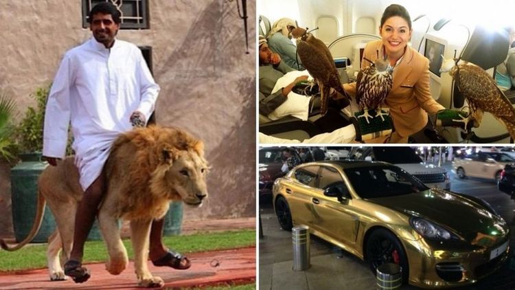 ८. दुबईच्या शेखांच्या श्रीमंतीचे काही नमुने- नमुने असे तर आख्खा देश कसा असेल??