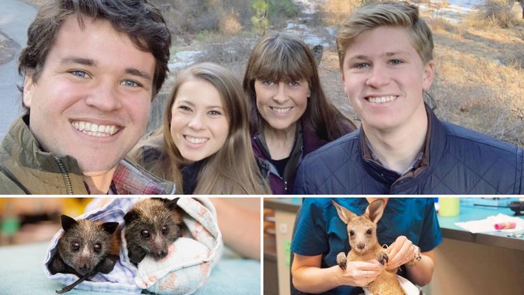 ऑस्ट्रेलियातील तब्बल ९०,००० प्राण्यांना वाचवणारं कुटुंब  !!