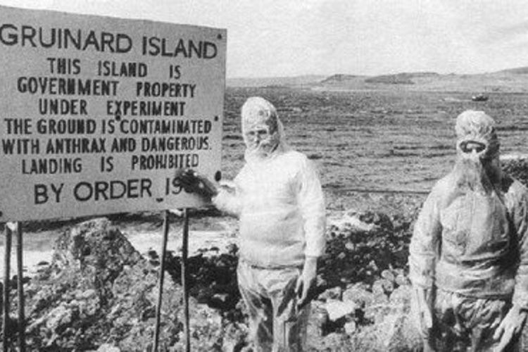 ऑपरेशन डार्क हार्वेस्टने उघडकीस आणले रासायनिक प्रयोग आणि त्याला बळी पडलेलं एक बेट! पण कसे आणि कुठे??