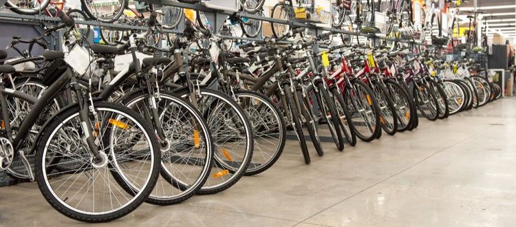 4) सायकलची योग्य निवड