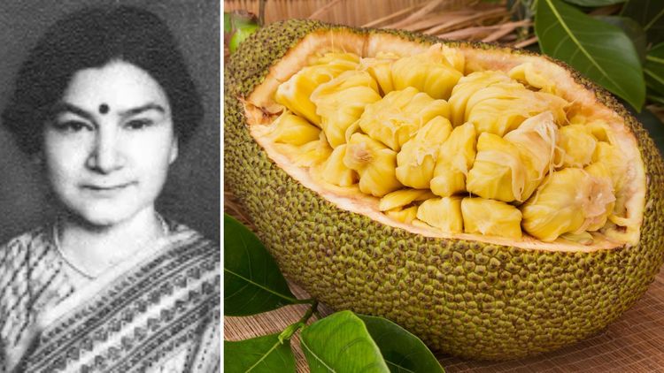 या' महिला शास्त्रज्ञाने संशोधनासाठी दिल्लीहून लंडनला चक्क फणस मागवून घेतला होता!  