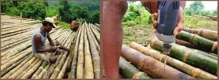 १. बालकुवा किंवा भिमा 