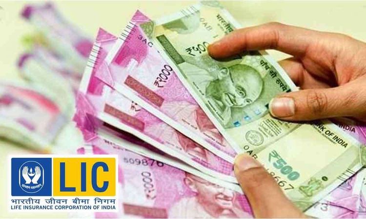३० लाख कोटींची मालमत्ता असणारी LIC पॉलिसी धारकांच्या पैशाचं करते तरी काय ?