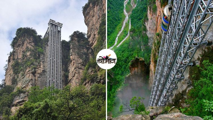 अवतार सिनेमाची प्रेरणा ठरलेली जगातली सर्वात उंच आउटडोर लिफ्ट...किती उंच आहे ही लिफ्ट?