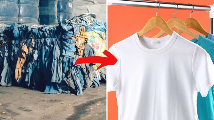 ही कंपनी फेकलेल्या कपड्यातून सुती धागा वेगळा करत आहे, पण का? सुती धाग्याचं काय महत्त्व आहे?