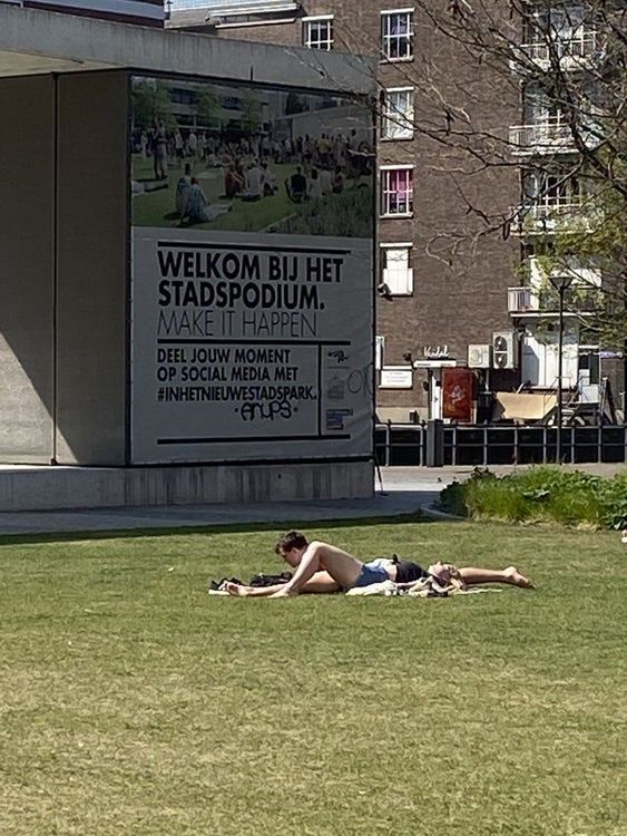 १३. ते हात आहेत की पाय आहेत?