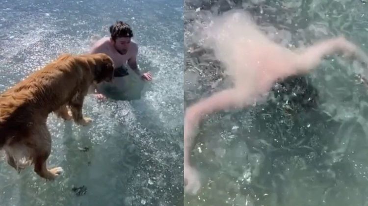 ४. गोठलेल्या तळ्यात पोहण्याचा स्टंट