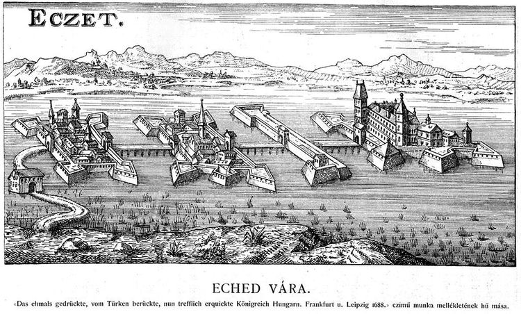 हे वाचून तुम्हाला नक्कीच  प्रश्न पडला असेल की तिने हे का केलं?