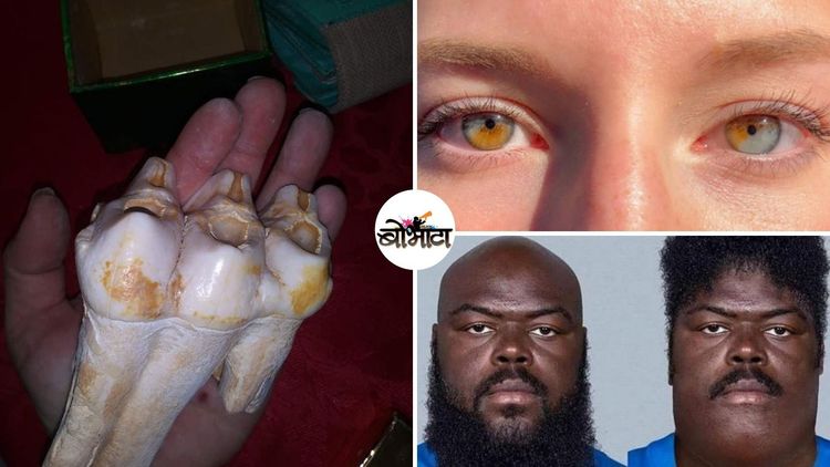 निसर्गाने दिलेले आश्चर्याचे धक्के....हे ११ फोटो पाहून घ्या !!