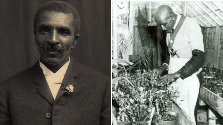 घोड्याच्या बदल्यात मुलाला सोडवून त्यांनी जगाच्या शेतीचा इतिहास कसा बदलला ?