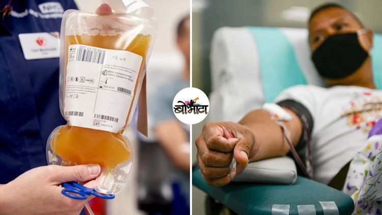 प्लाझ्मा दान काय असतं? कोण करू शकतं? काय नियम आहेत? सगळी माहिती जाणून घ्या !!