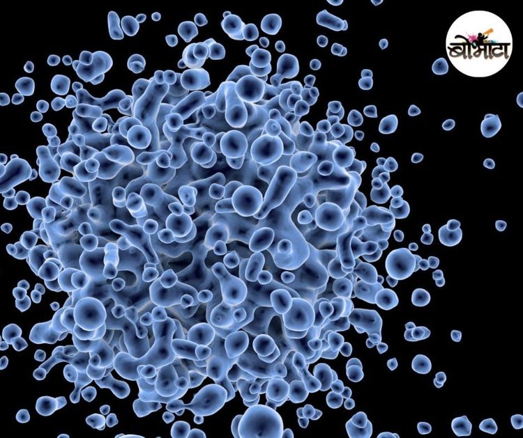 DRDO चे नवे औषध कोव्हीड रुग्णांना संजीवनी देणार का ? 