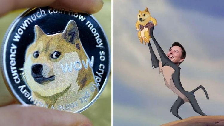 एलॉन मस्कने उचलून धरलेला डॉगकॉइन आहे तरी काय? त्याचा खऱ्याखुऱ्या कुत्र्याशी काय संबंध आहे?