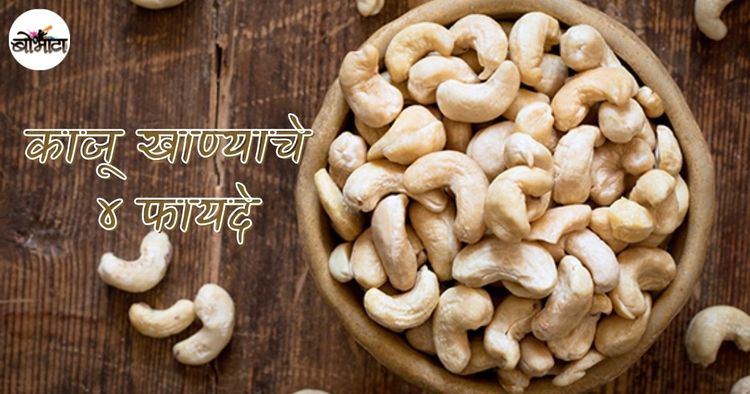 अन्नपदार्थांना वेगळी चव देणाऱ्या काजूचे हे ५ फायदे माहित आहेत का? 