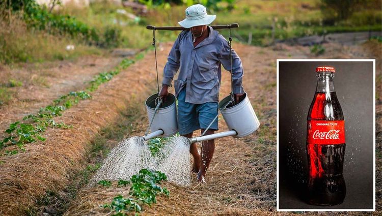 २२. कोकाकोलाचा अजून एक महत्त्वाचा फायदा म्हणजे आजकाल भारतातील शेतकरी आपल्या पिकांचे संरक्षण करण्यासाठी त्याचा मोठ्या प्रमाणावर वापर करत आहे. महागड्या कीटकनाशकांच्या तुलनेत कोकाकोला स्वस्त असल्यानेे शेतकर्‍यांना तो परवडतो. कोकाकोलामध्ये असलेली साखर मुंग्या