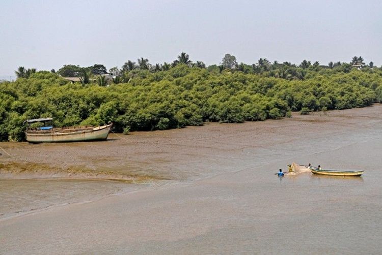 या बेटाच्या प्रस्तावित योजनेत खालील गोष्टी करण्यात येणार आहेत.