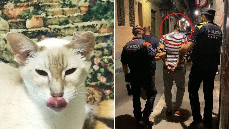 भाग २: डोळ्यांना चकवा देणारे १५ भन्नाट फोटो....यातला कोणता फोटो हटके वाटतो?