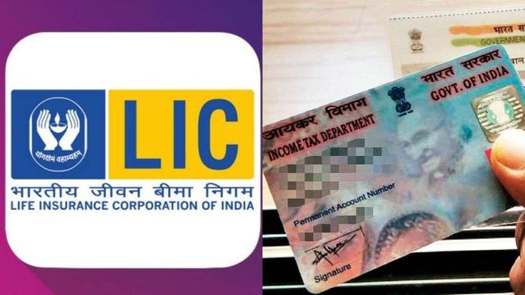 LIC पॉलिसीला PAN असे लिंक करा, नाहीतर नॉमिनीला २०% टॅक्स भरावा लागू शकेल!!